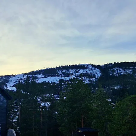 Apartment Slopeside